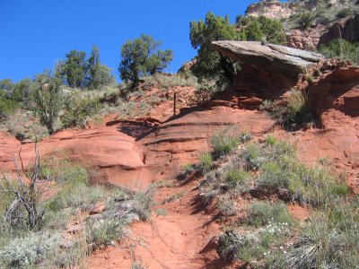 trail marker